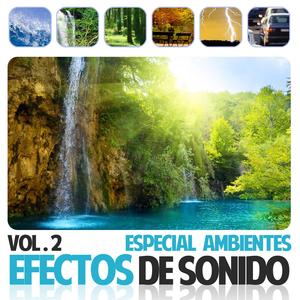 Calle Con Tráfico Medio