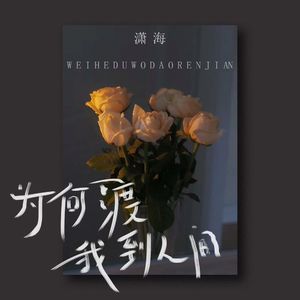 为何渡我到人间