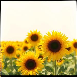 เธอ...คือความสุขของฉัน