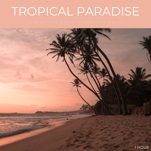 Tropical Paradise: A Beautiful Beach Scenery To Relax - 1 Hour