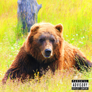 International Diplomat