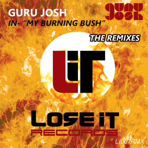 My Burning Bush (Andrew Carra vs. Guru Josh Deranged Geezer Radio Edit (Clean Version))