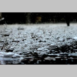 Scandinavian Rain
