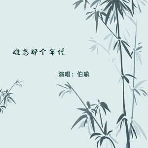 难忘那个年代（伴奏）