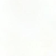 你是我心里最轻的风