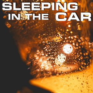 White Noise of Car Roof Rain