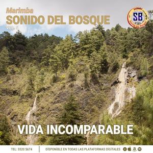 Viajas de la vida