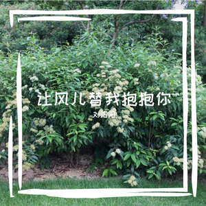 让风儿替我去抱抱你MMM