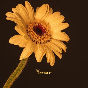 Ymer