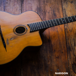 Narigon (Melingo cover)