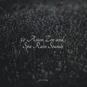 Wind, Strong, Forest, Light Debris, Leaves, Rain