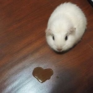 我需要你