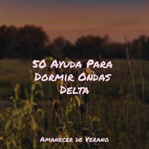 Melodías nítidas de otoño