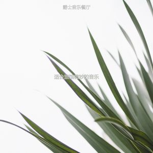 适合酒店迷人的音乐