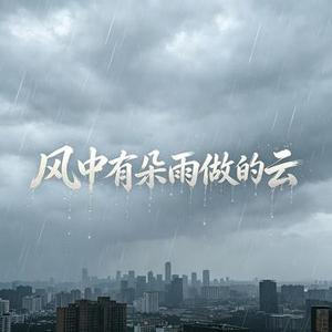 风中有朵雨做的云 (Cover 亮声open)