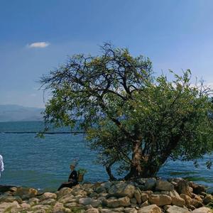 风的忧伤只有云知道 (烟嗓版)