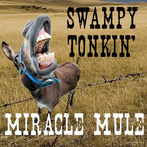 Swampy Tonkin'