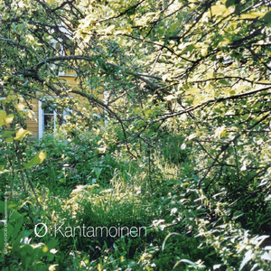 Aallonmurtaja / Breakwave