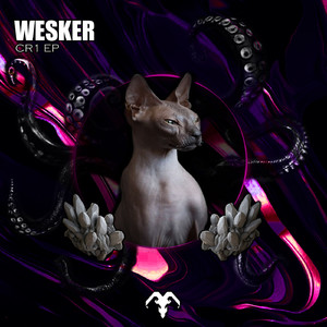 CR1 (Original Mix)