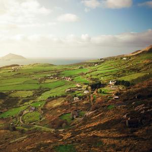 Danny Boy (Instrumental)