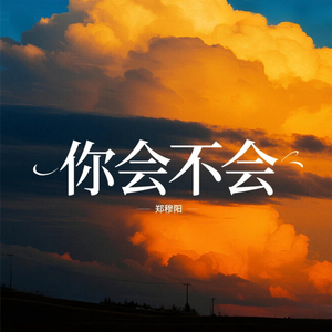 你会不会
