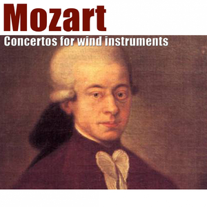 Oboe Concerto in C Major, KV 271: II. Andante ma non troppo