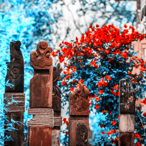 老叶和九十九个老板娘