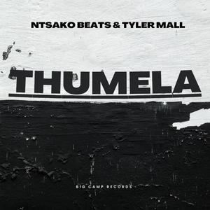 Mokgotsi (feat. Tyler Mall & Xigub za)