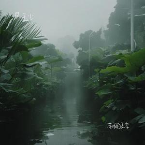 落雨的夏季