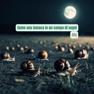 Come un brivido su una pelle abbronzata