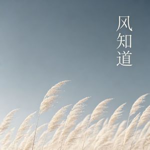 风知道我的名字