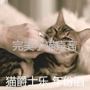 温和小猫梦想