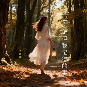 你已忘记但我记得的事