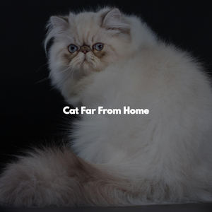 Friendly (Mental Health Days)