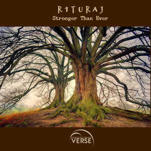 Stronger Than Ever (Original Mix)