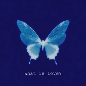 蝴蝶（Prod by GC）