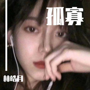 妮子-Sunny（林皓月 remix）