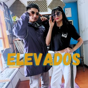 ELEVADOS