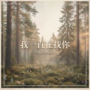 我一直在找你