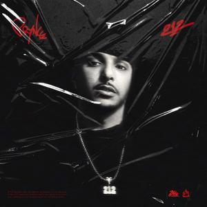 Gamos (feat. Voleur pnz)