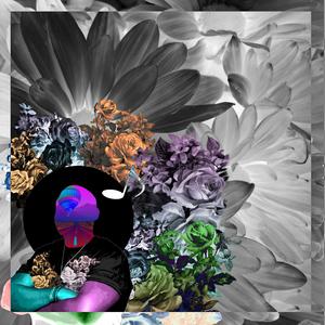 Mari Yephepha Interlude