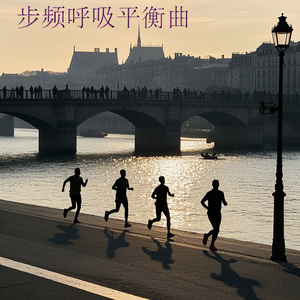 steps per minute (帮助保持合理的步频和呼吸节奏) (3)