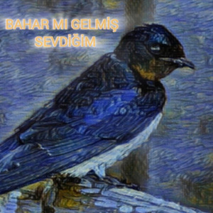 Bahar mı Gelmiş Sevdiğim