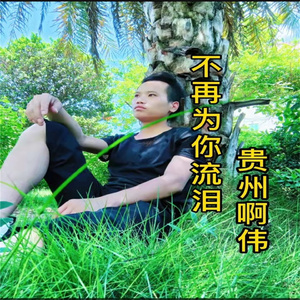 不再为你流眼泪