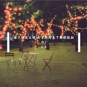 怪只怪我太傻(大雪纷纷落下转眼就融化)