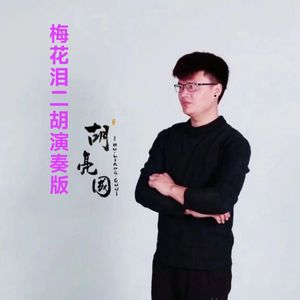 梅花泪（二胡演奏版）