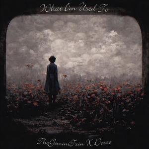 What Im Used To (feat. Dezzo)