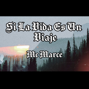 Si La Vida Es Un Viaje