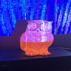 The Holy Mountain (Live) (Live)