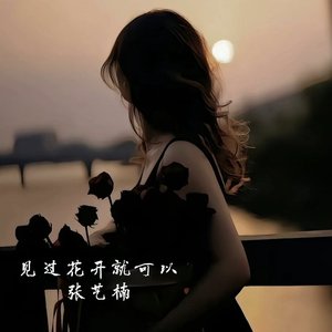 见过花开就可以